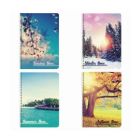 Тетради / А4 96л