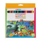 Карандаши цветные / 24цв