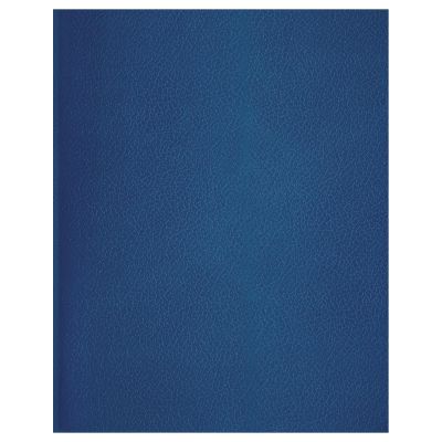 Тетрадь 96л., А5 клетка BG, бумвинил, синий, суперэконом Т5бв96кЭ_12333