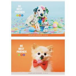 Альбом для рисования 08л., А4, на скрепке ArtSpace «Питомцы. Bright friends», эконом А08ф_26302 (Рос