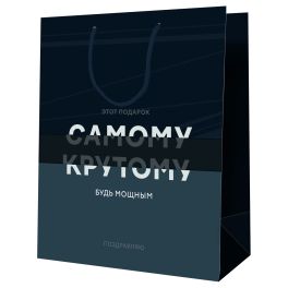 Пакет подарочный 26*32*12см MESHU «Самому крутому», ламинированный MS_52165 (Россия) R