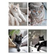 Тетрадь КЛЕТКА 96л. РАЗНЫЕ ДОМАШНИЕ КОТЫ (96-4319) (цвет.мелов.обл.)