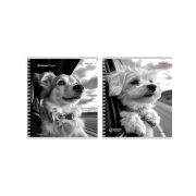 Тетрадь КЛЕТКА 96л. СОБАКИ В ПОЕЗДКЕ (Т96-4887) цвет.мелов.обл., гребень