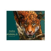 Альбом для рисования А4 40л. НАРИСОВАННЫЙ ХИЩНИК (40-3896) КБС,1диз в кор,5шт.в сп,офс 160г,отр.блок