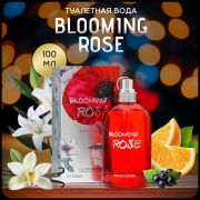 Туалетная вода женская Ame Ame, 100 мл   10178654