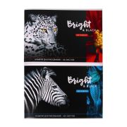 Альбом для рисования А4 40л. ХИЩНОЕ ЖИВОТНОЕ (40-7783) скреп, картон. обл., офс